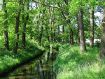 Twickelervaart